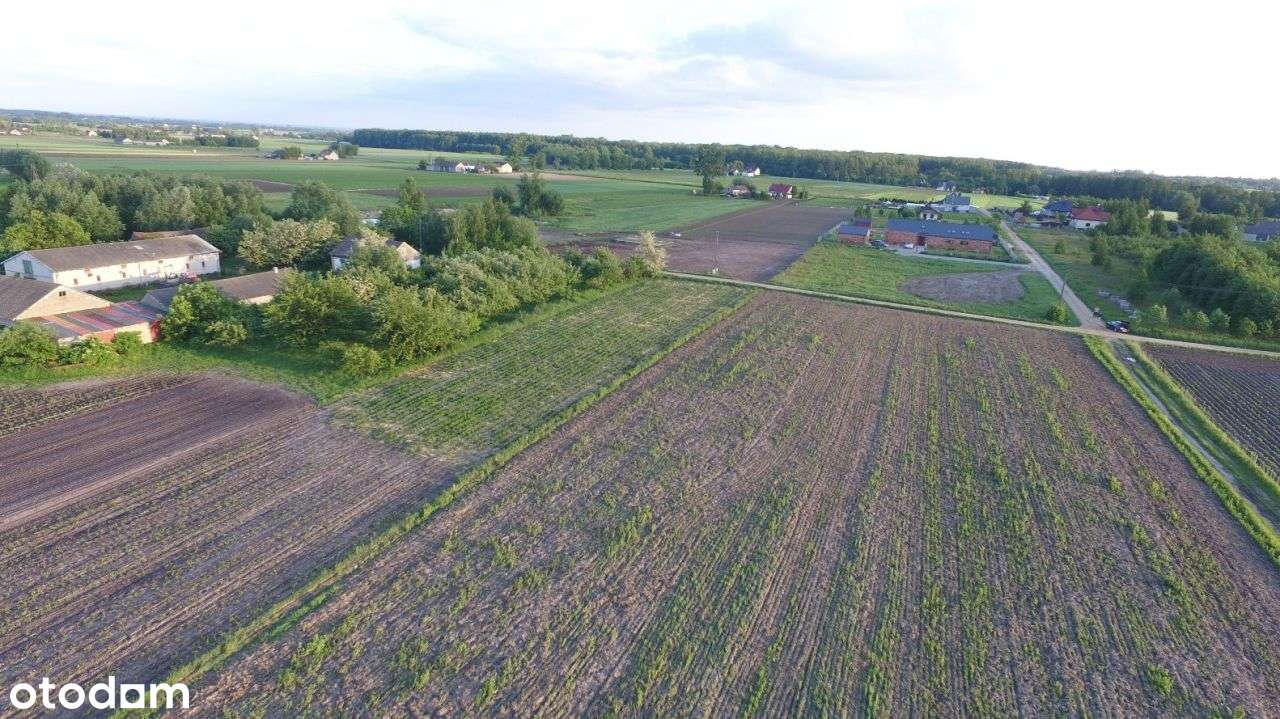 Działka budowlana Januszewo 1200m2-4