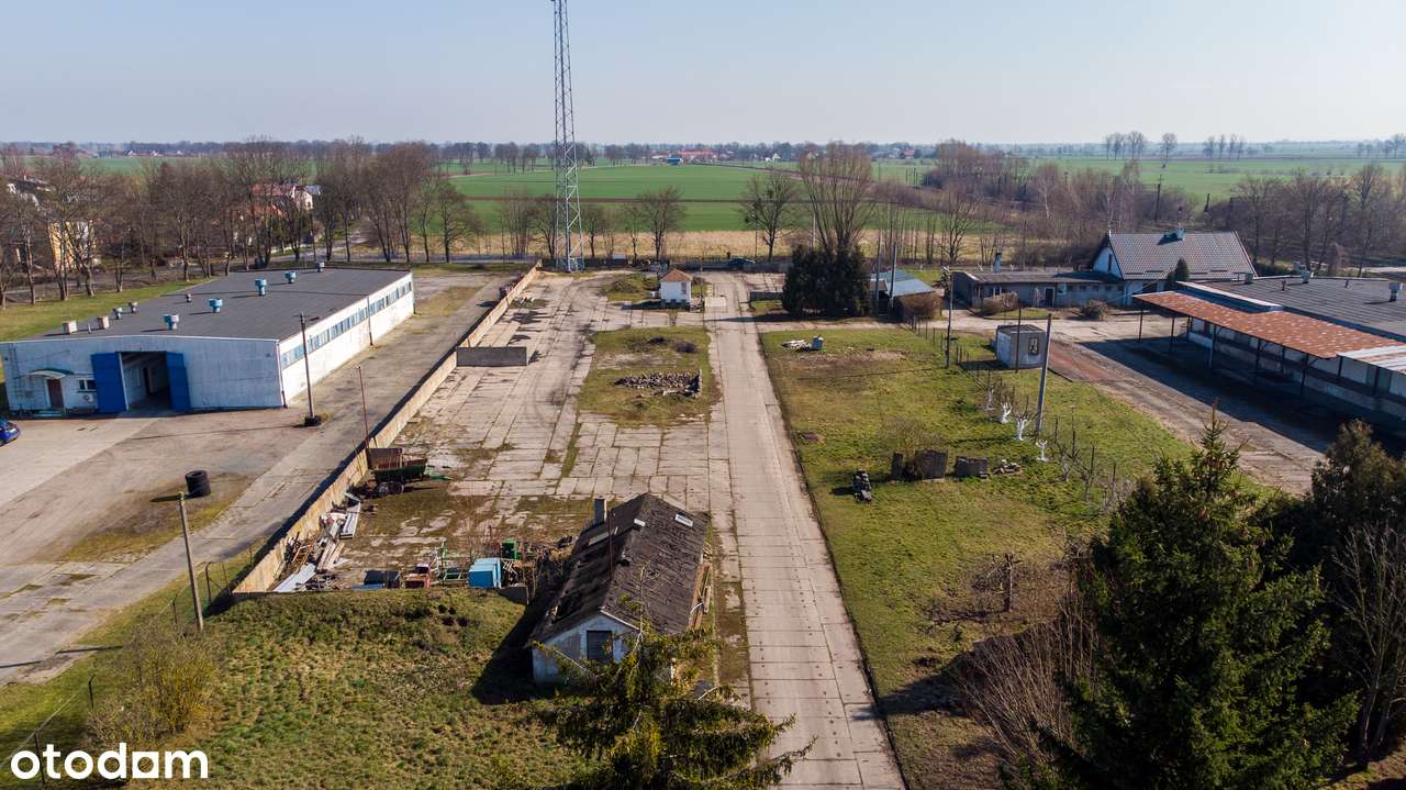 Teren idealny na inwestycję - Pełny obrazek: 4/5