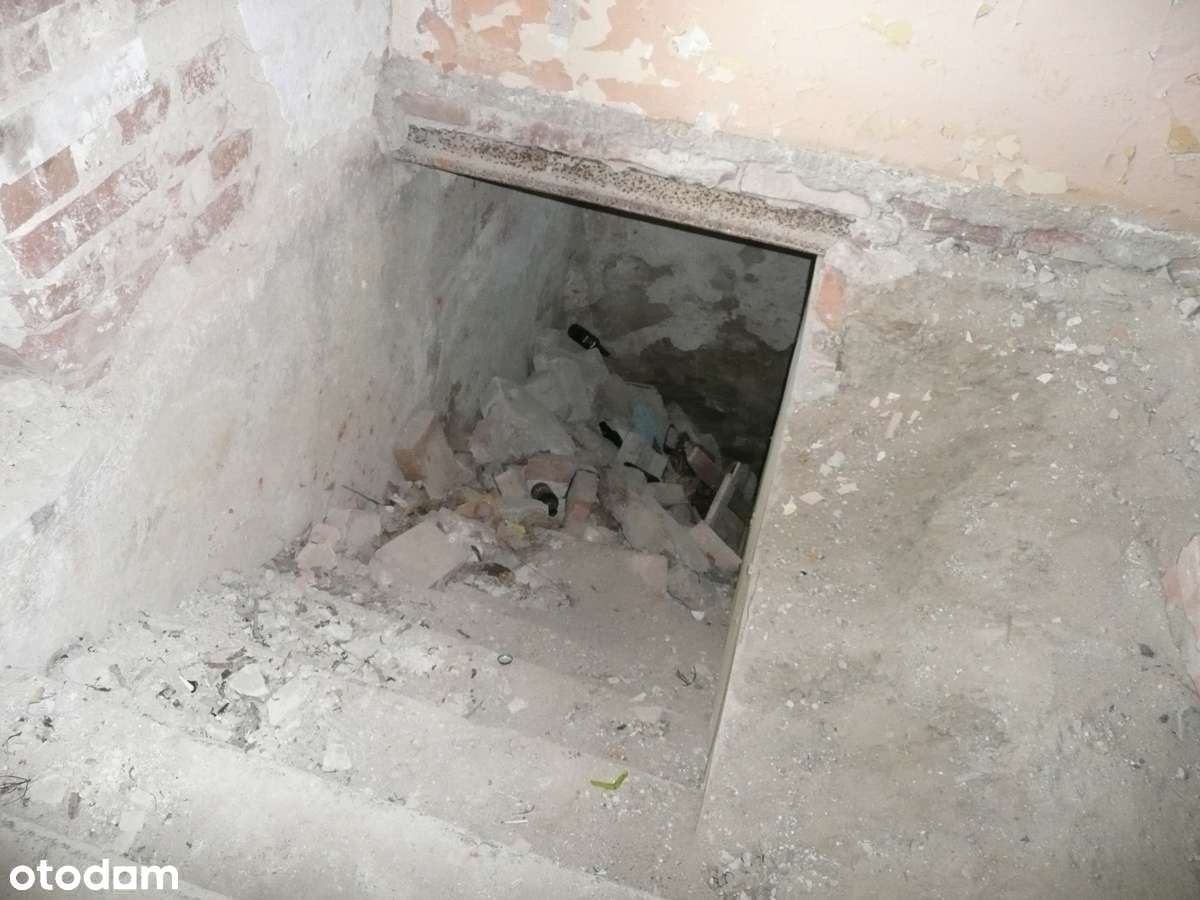 Zabytkowy Dwór z Parkiem-9