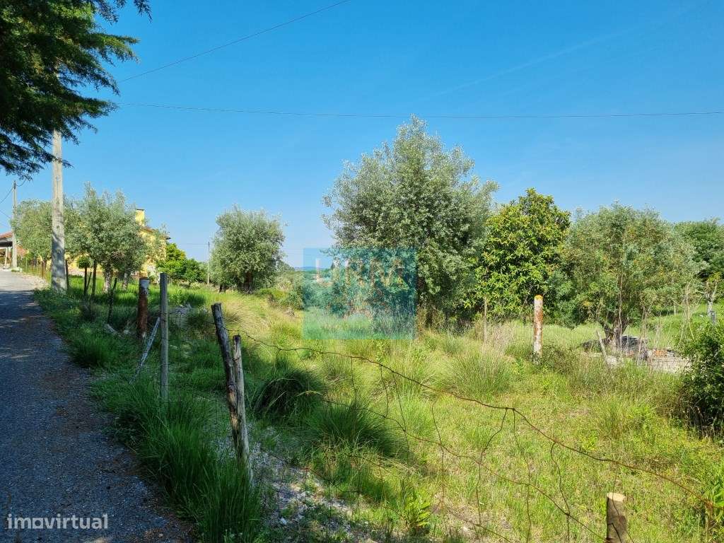 TERRENO Urbano - Grande imagem: 5/17