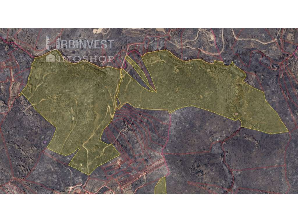 Pequena propriedade rústica, com ribeira e nascente, a seis quilóme... - Grande imagem: 4/7