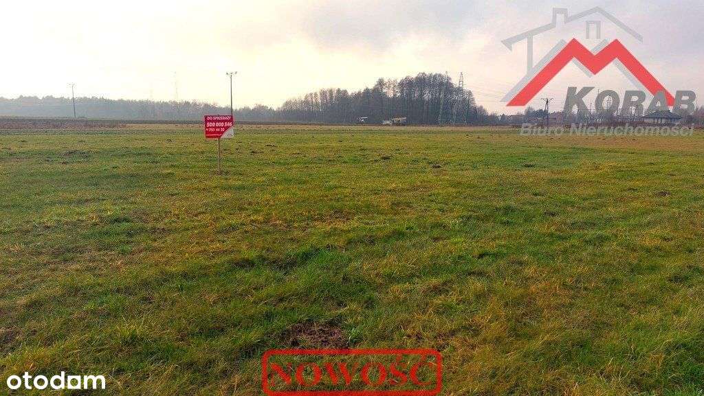 wydane prawomocne Wz-4