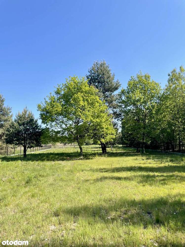 OSTATNIA WOLNA DZIAŁKA 9ar – Tarnobrzeg ul. Zakrzowska-Mokrzyszów-5