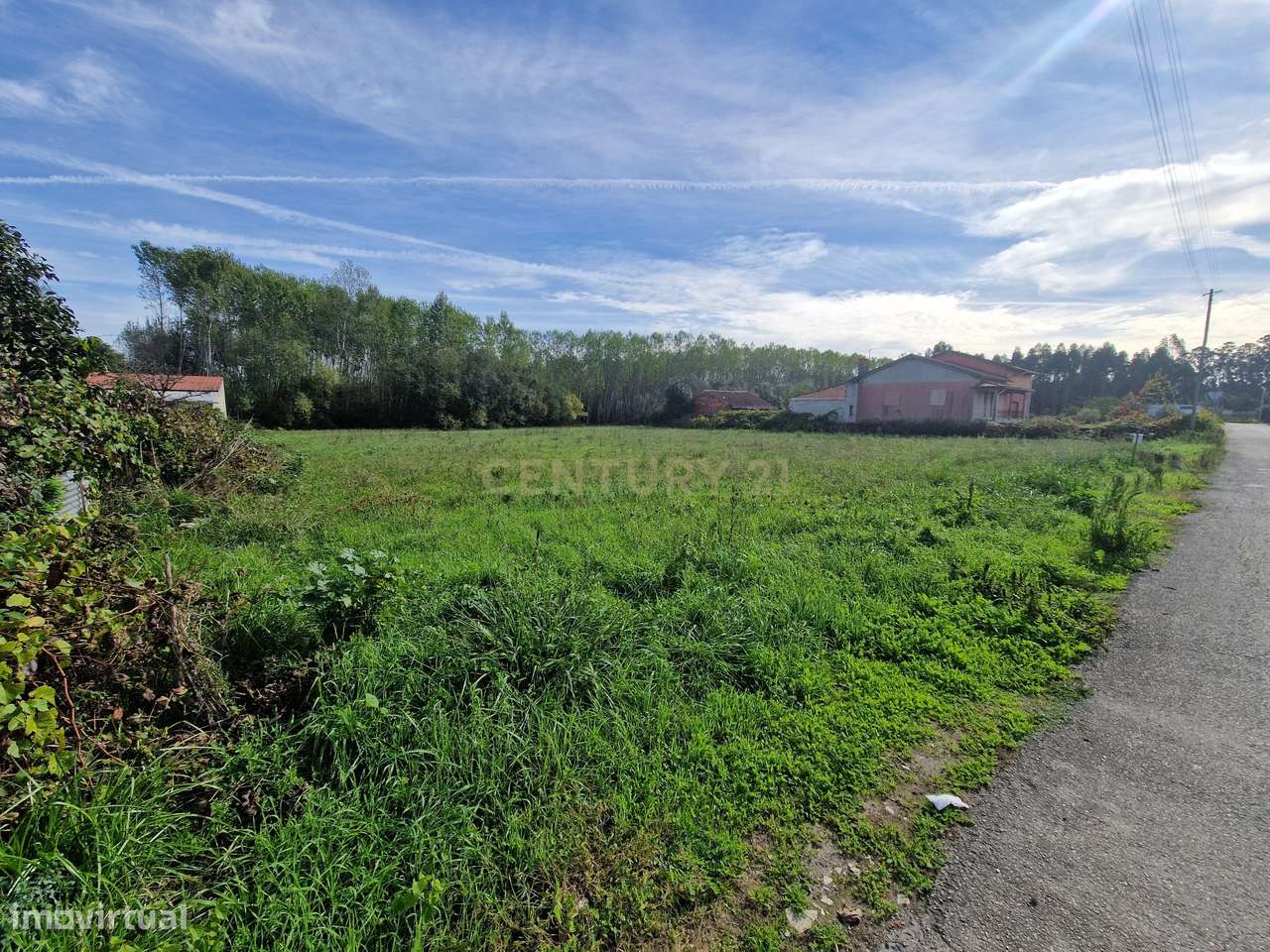 Terreno para construção em Oliveira do bairro - Grande imagem: 4/7