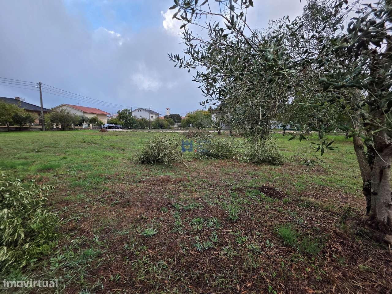 Lotes de Terreno para Construção em Fátima-16