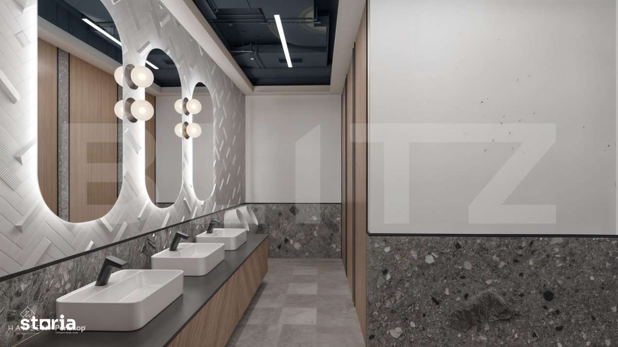 Spatiu de birouri premium de inchiriat, 20 incaperi, 1.320 mp, zona Eu - Imagine principală: 4/14