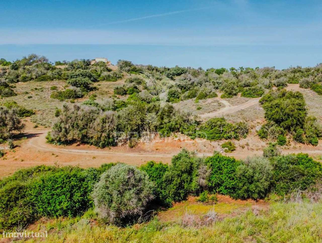 Ruína com lote de 10440m2, Alcantarilha - Grande imagem: 4/27