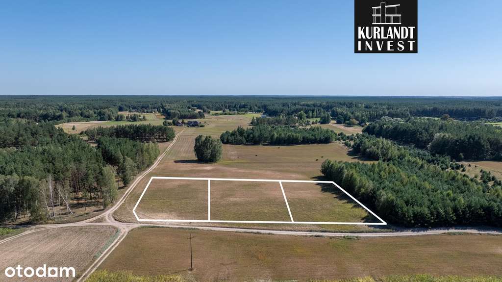 Działka z Warunkami Zabudowy Iwiec Bory Tucholskie - Pełny obrazek: 5/7