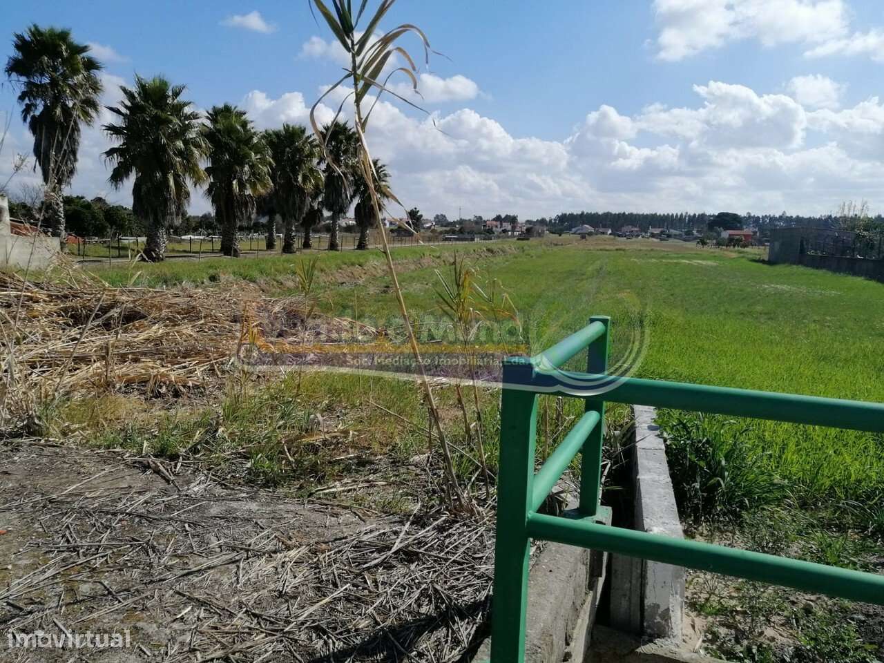 Terreno em Marinhais (M703) - Grande imagem: 2/4