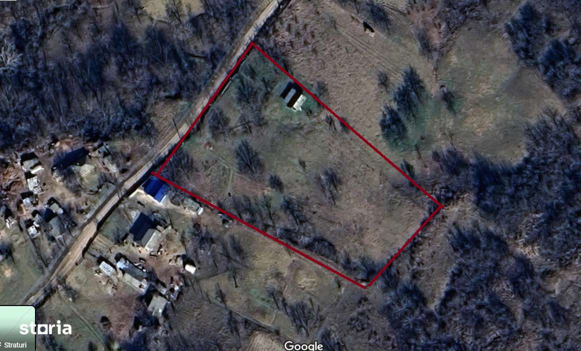 Teren 1 ha Tomesti deschidere mare - Imagine principală: 1/1