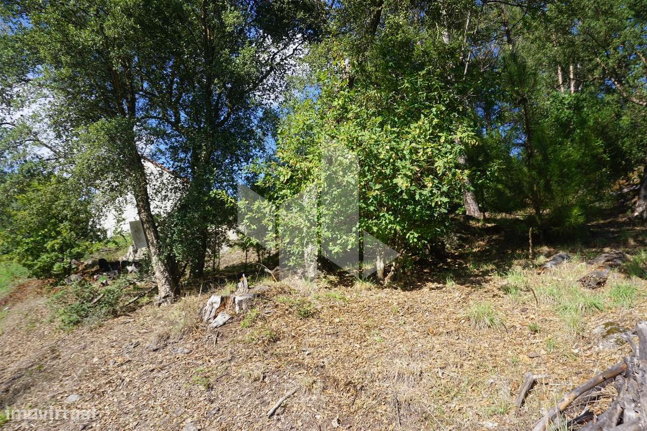 Terreno Para Construção  Venda em Parada de Gonta,Tondela - Grande imagem: 5/5