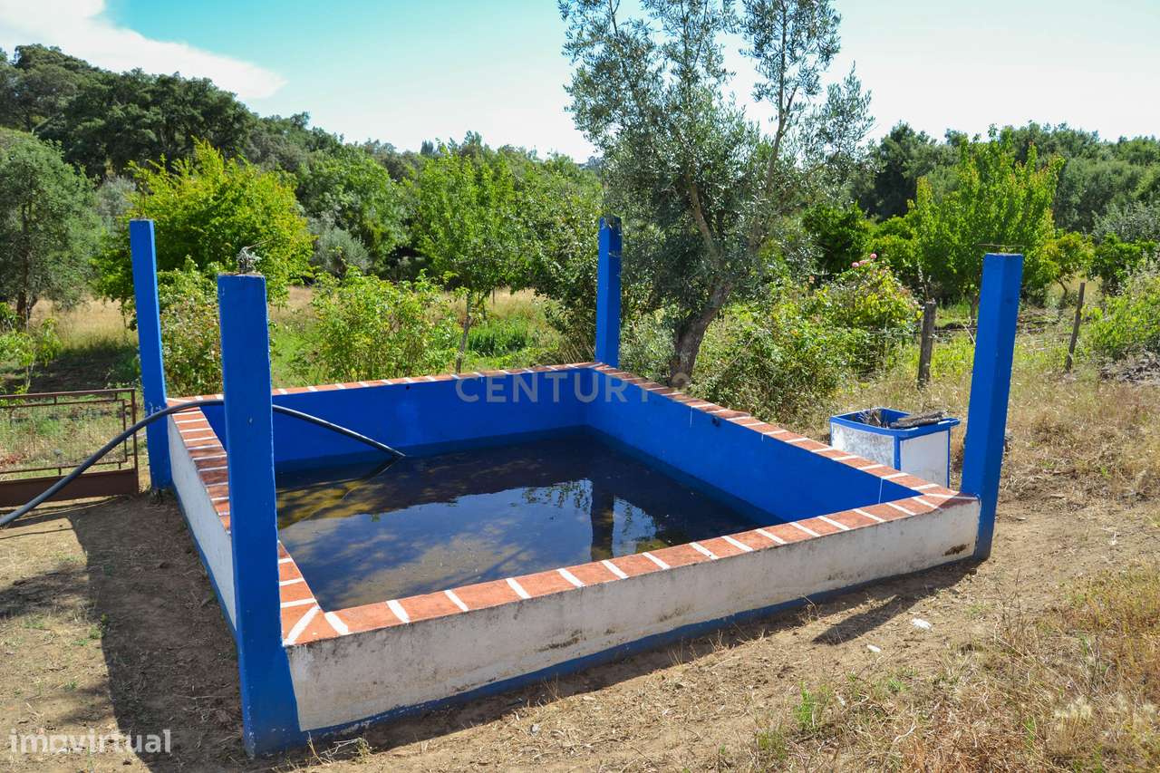 Quinta Courela da Mina - Grande imagem: 5/13