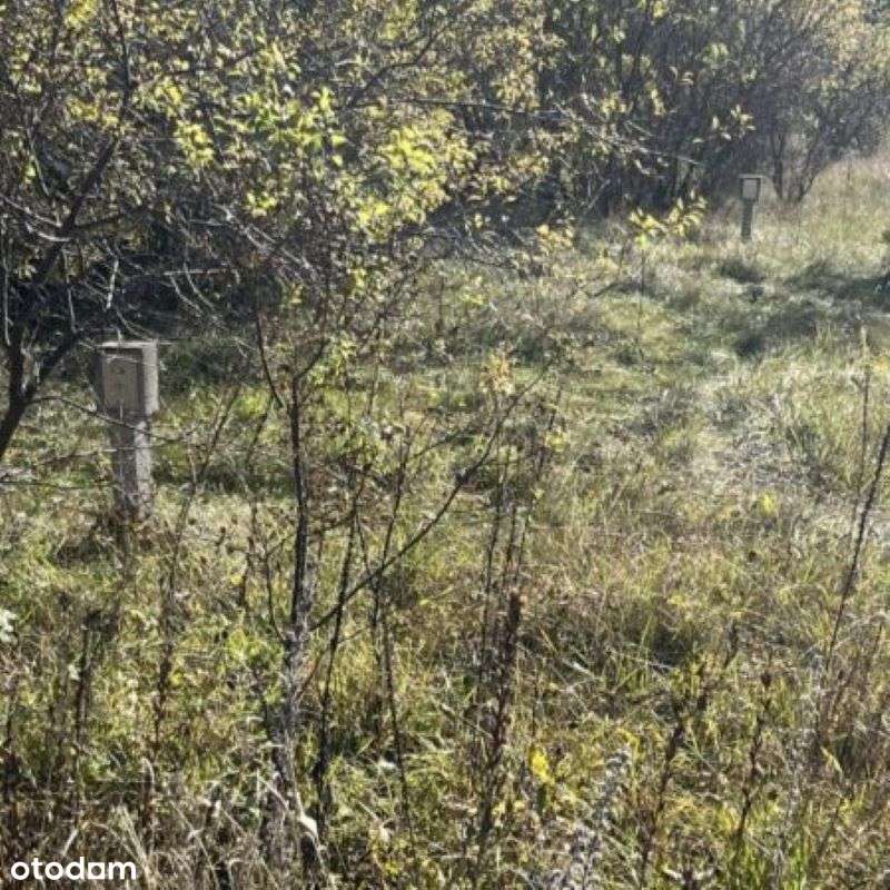 Działka Kopanica/Danowskie - Pełny obrazek: 5/9