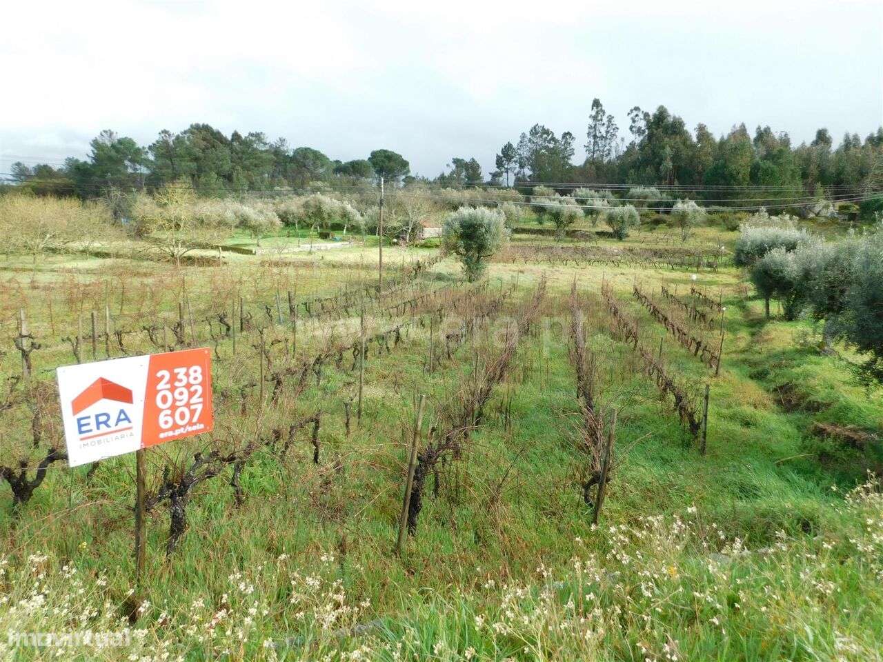 Terreno / Gouveia, Cativelos - Grande imagem: 3/3