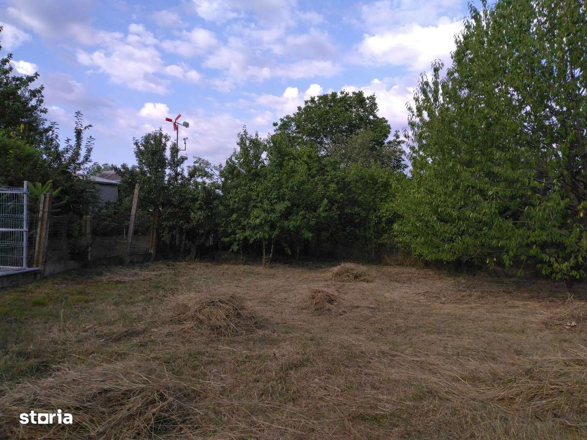 Teren intravilan oportunitate excelenta pentru dezvoltare rezidentiala - Imagine principală: 5/7
