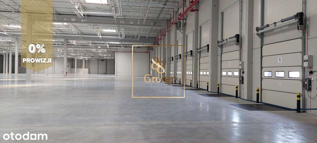 Do wynajęcia magazyn 1600m2 Warszawa-Targówek - Pełny obrazek: 3/6