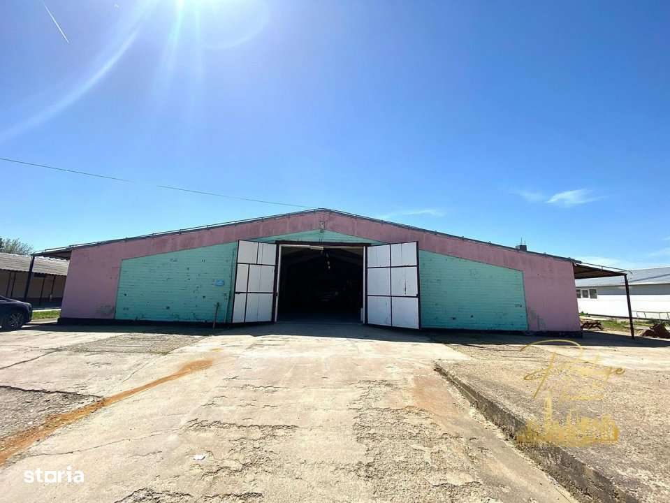 Hala 470 mp de inchiriat in Palota - Bihor - Imagine principală: 3/5