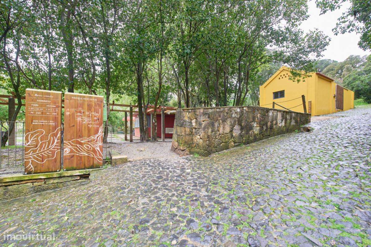 Quarto - localizado em Benfica Lisbon - Grande imagem: 4/10