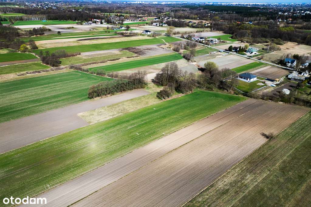 Działki w Gębarzowie - Pełny obrazek: 4/8