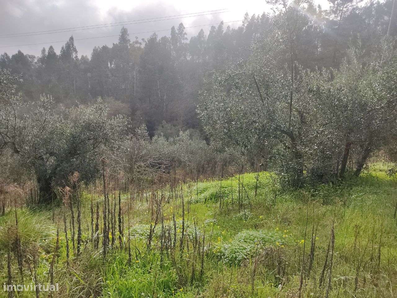 Terreno Rústico localizado no Alqueidão, Ourém - Grande imagem: 4/10