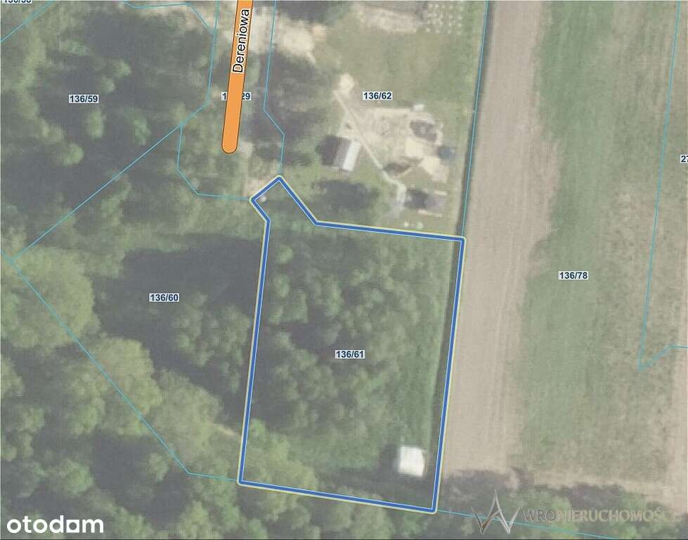 Duża działka budowlana w Holendrach - Pełny obrazek: 4/6