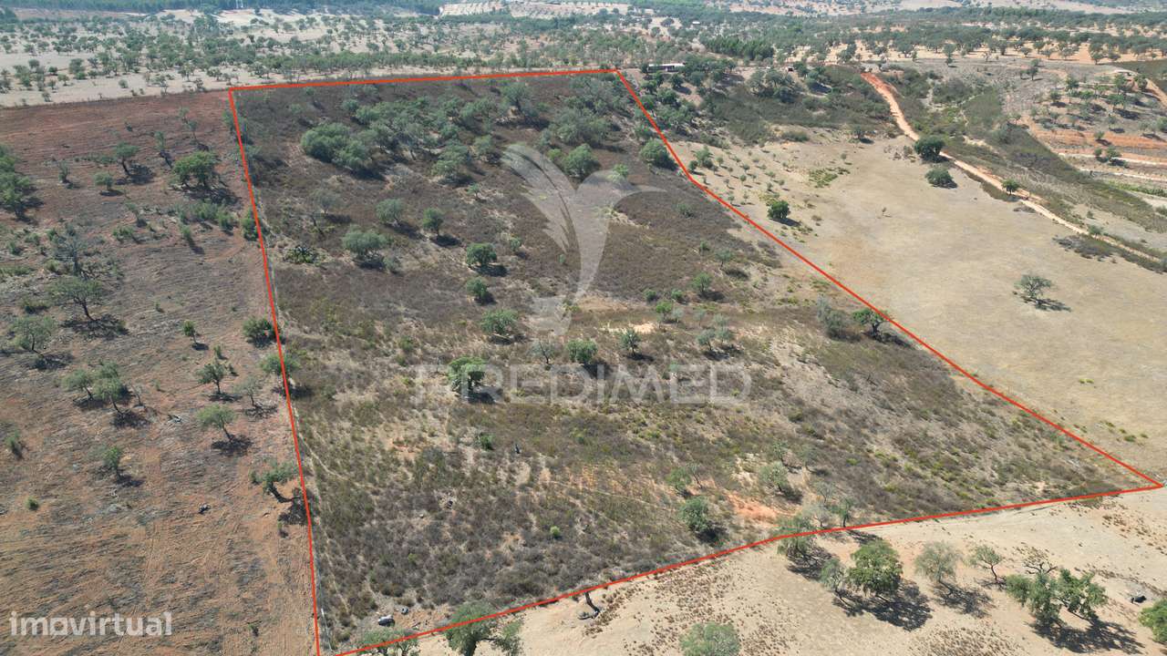 Terreno rústico com 5,2500 ha em Chada velha, Ourique - Grande imagem: 3/11