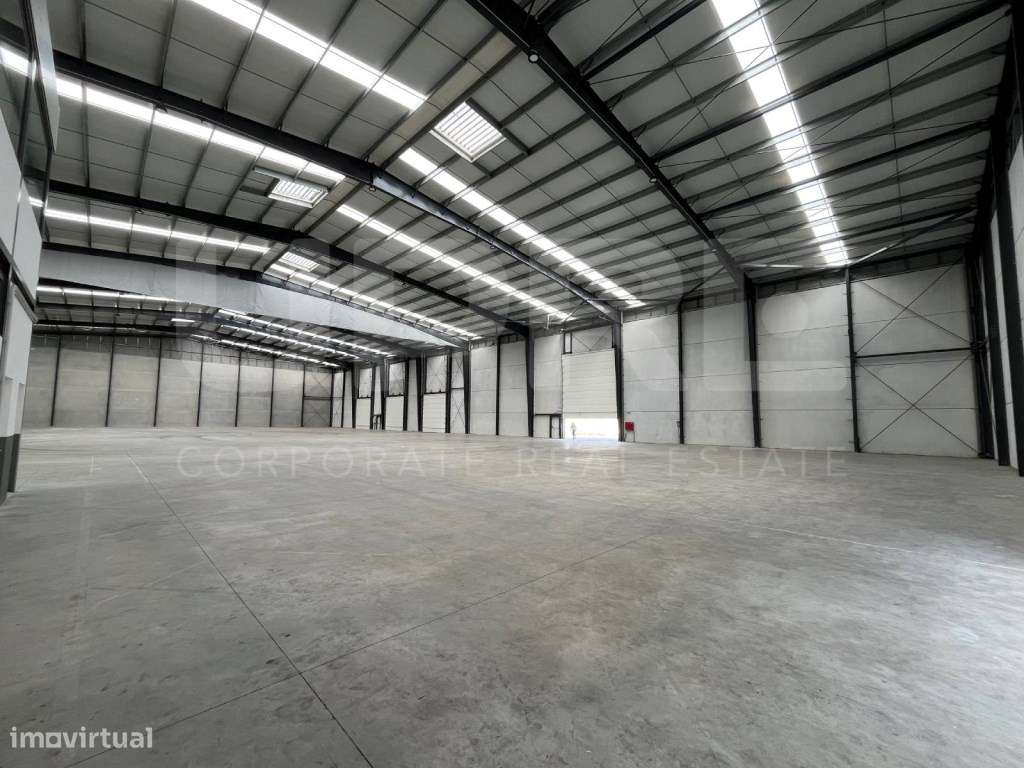 ÓTIMO ARMAZÉM PARA CLUBE DE PADEL | Arrenda | Santa Mª Feira (Lourosa) - Grande imagem: 5/12