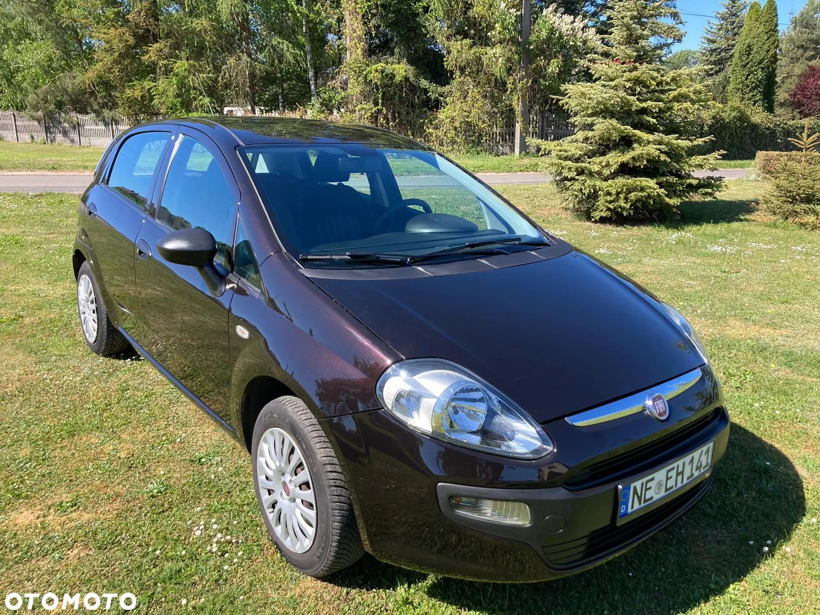 Fiat Punto Evo 1.2 8V Active - 1