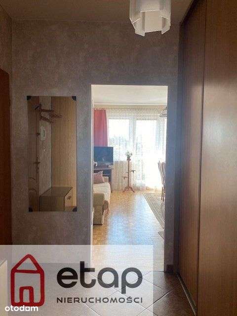 Ustawne dwa pokoje z osobną kuchnią-9