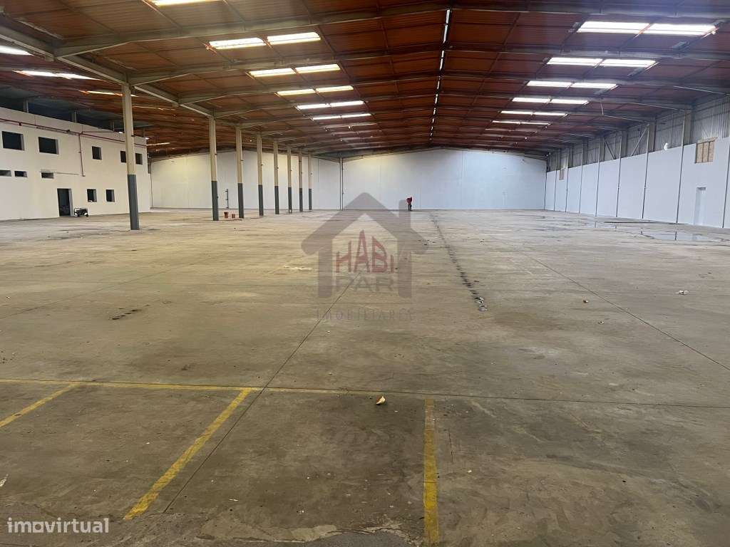 Excelente Armazém Para Venda Samora Correia-12