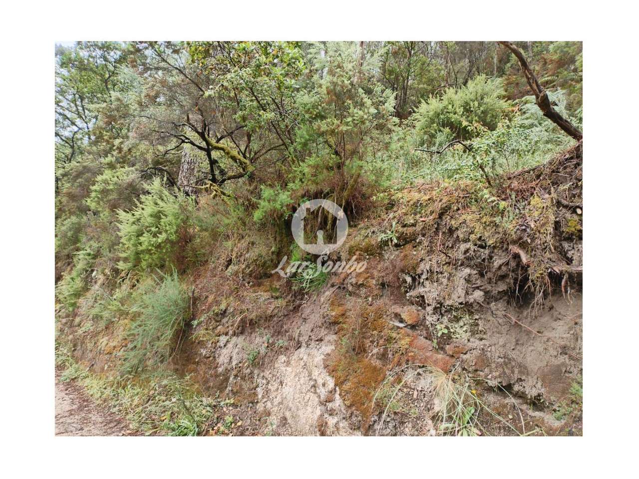 Terreno com 9.380m2 no  Parque Natural do Gerês - Grande imagem: 5/5