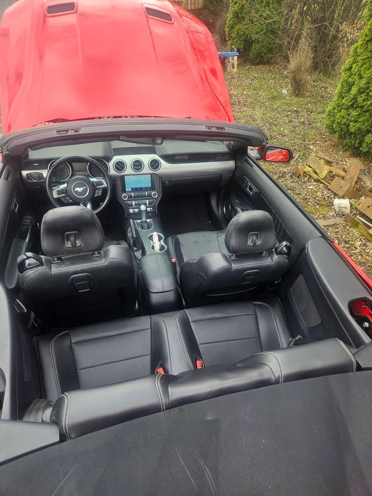 Ford Mustang VI [2015 - Prezent] Cabrio 2.3 Eco Boost 2020