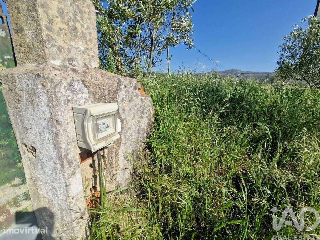 Terreno T1 em Lamas e Cercal de 3520,00 m2 - Grande imagem: 4/24