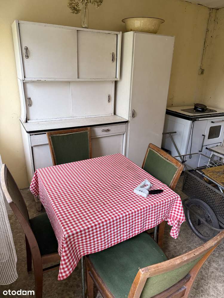 Ogródek działkowy ROD Wieczorek - Pełny obrazek: 5/7