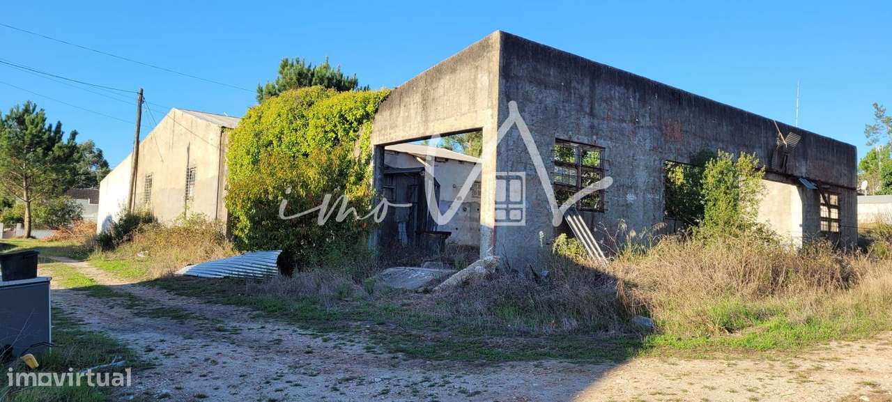 Armazém com terrno - Grande imagem: 5/12