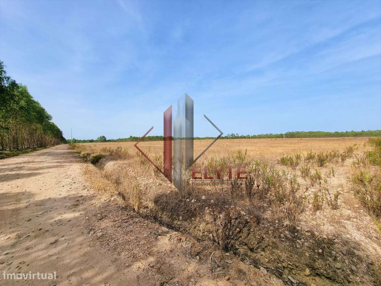 Terreno em Gloria do Ribatejo com 13ha - Grande imagem: 4/13