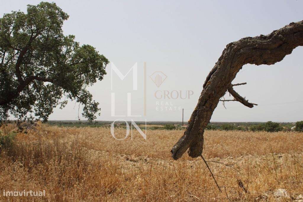 Terreno – Venda Lote de Terreno Urbano com 1278m2 - construção 319m2 e - Grande imagem: 3/13