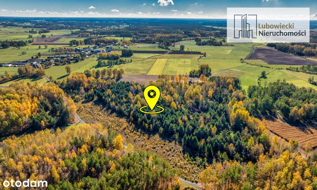 Działka budowlana w miejscowości Niedźwiedzie - Pełny obrazek: 5/14