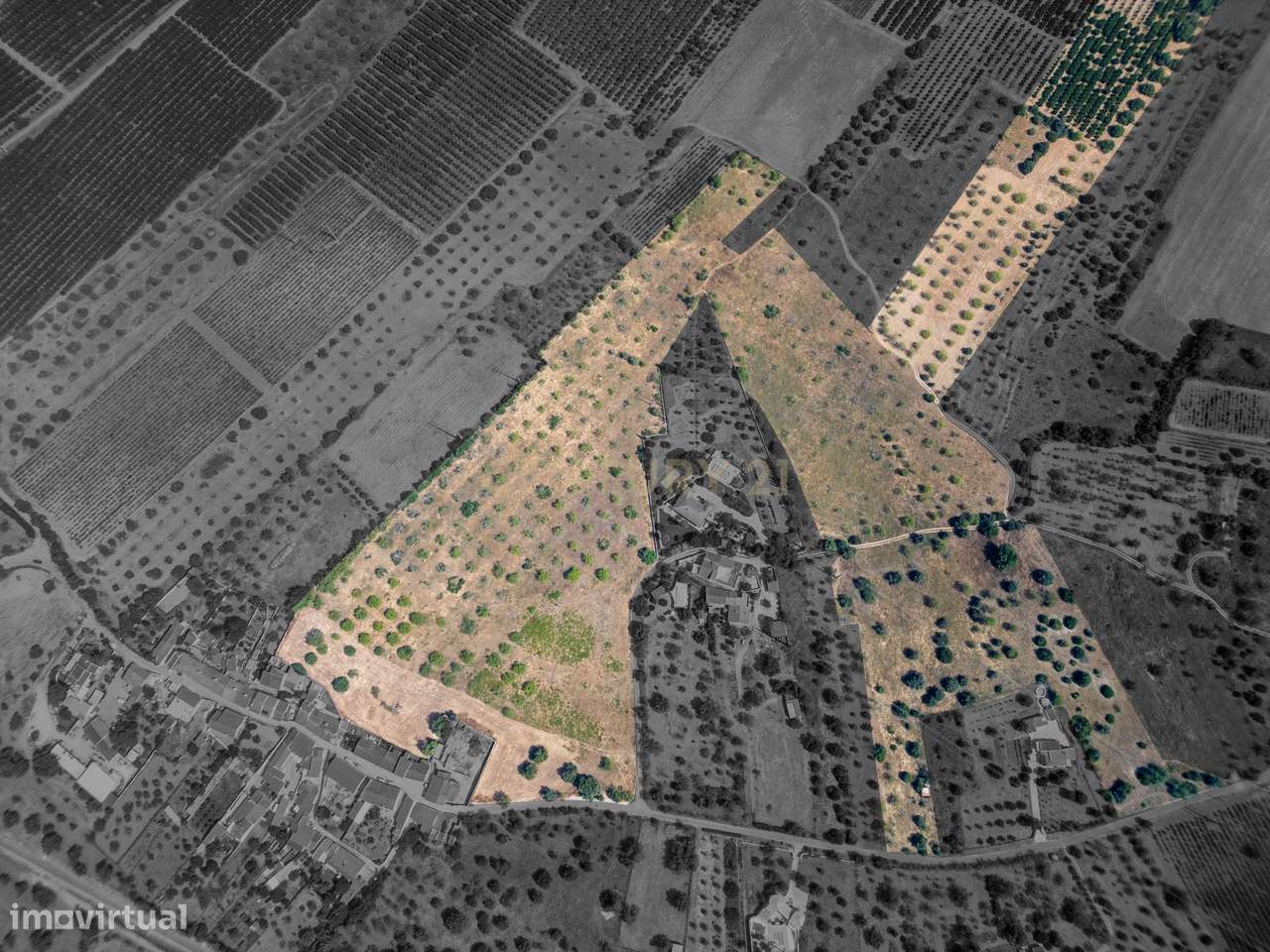 Quinta com 3 moradias e armazém para Reabilitação - Grande imagem: 4/16