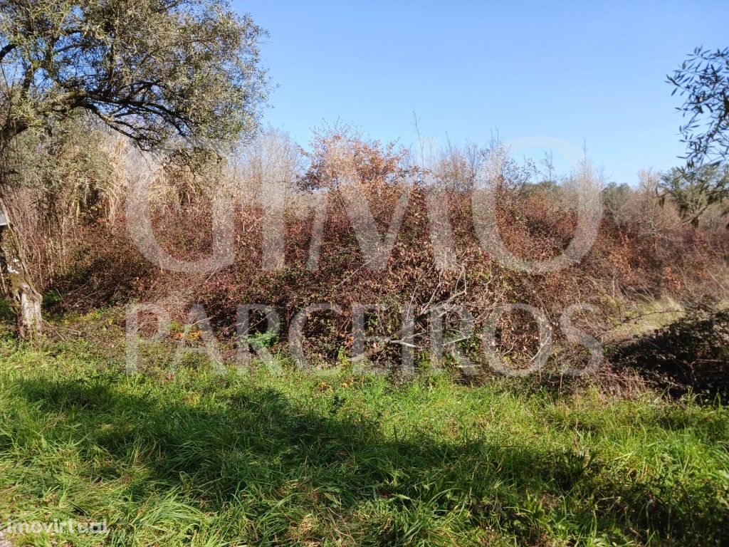 Terreno Agrícola na Murta