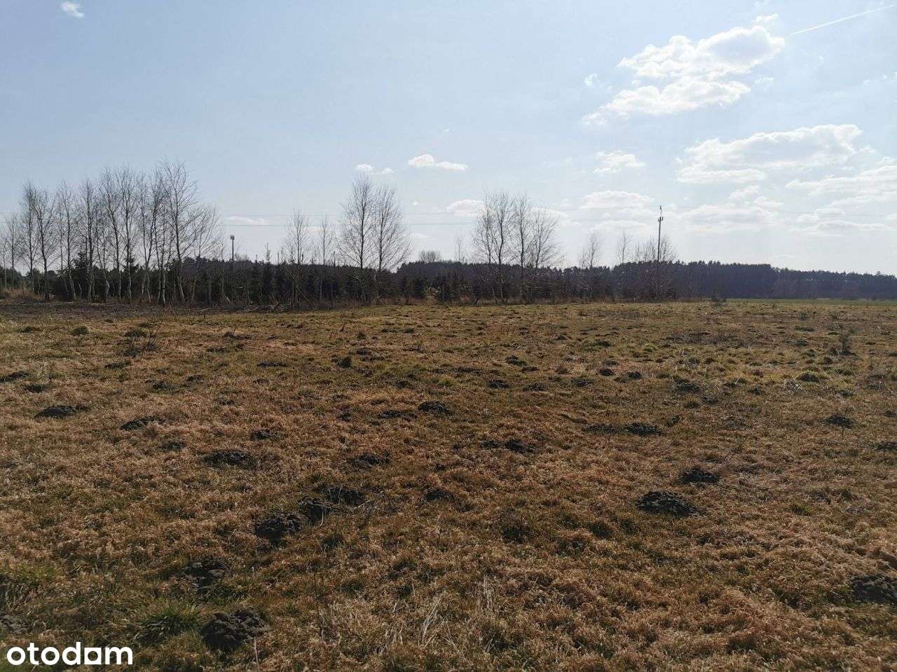 Działki budowlane (2 szt.) w pobliżu rzeki Gwdy- T-14