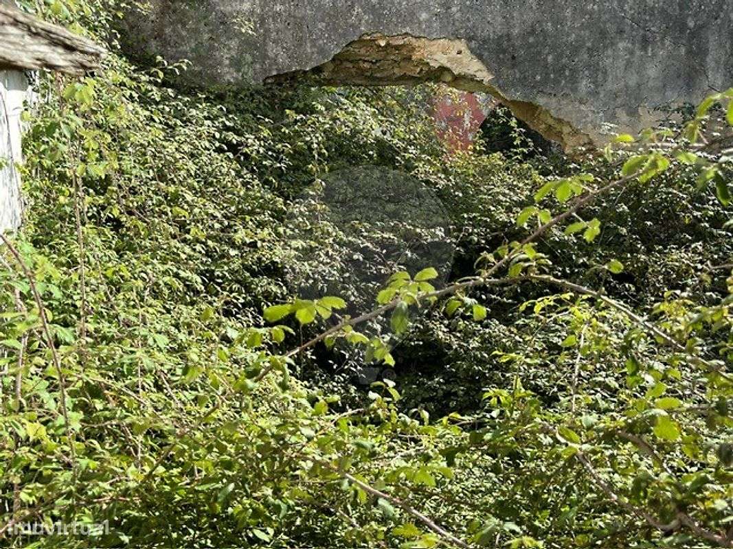 Loja  para venda - Grande imagem: 4/8