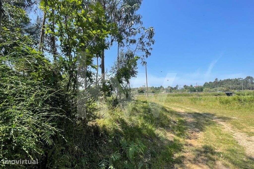 TERRENO PLANO - Grande imagem: 1/6