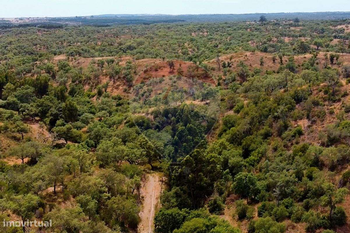 Terreno  para venda - Grande imagem: 5/9