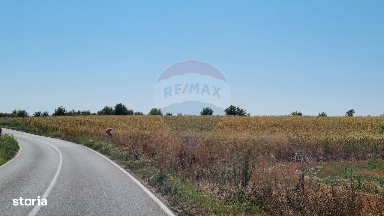 Teren 16.083 mp de vânzare – Sinești, sat Lilieci, Slobozia - Imagine principală: 1/3