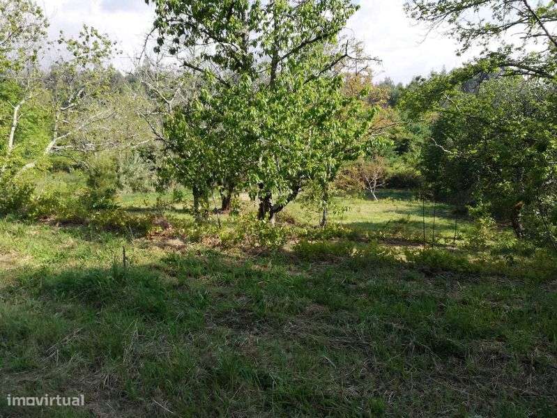 Venda de Terreno em Vila Nova da Rainha, Tondela - Grande imagem: 5/8
