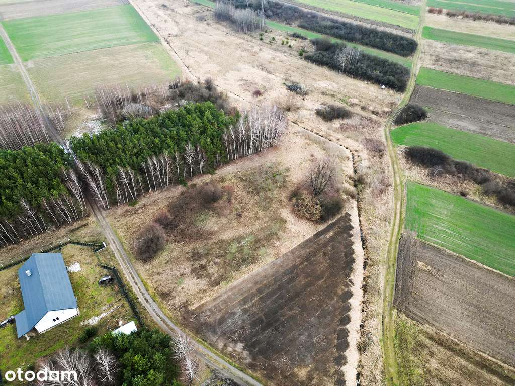 Działki na sprzedaż – Ślepowron, gmina Wolanów - Pełny obrazek: 4/7