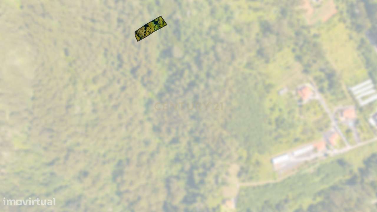 Terreno Rústico de 1150 m2 - Santa Cruz, Madeira - Grande imagem: 2/12