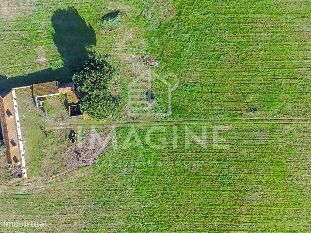 Terreno com 26.000 m² em Palmela - Localização Privilegiada e Eleva... - Grande imagem: 4/12