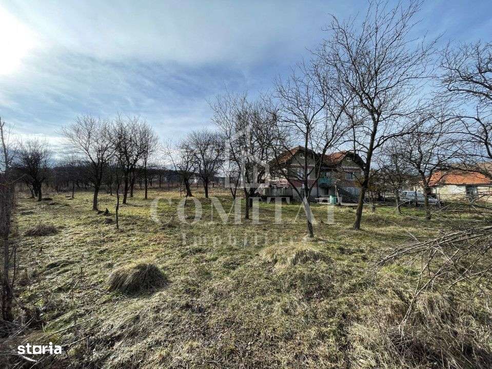 Teren autorizabil la preț foarte bun Chinteni - Imagine principală: 2/3